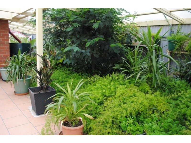 89 Griffith Street, Maryborough VIC 3465