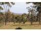 608 Stuart-mill Road, Dunolly VIC 3472