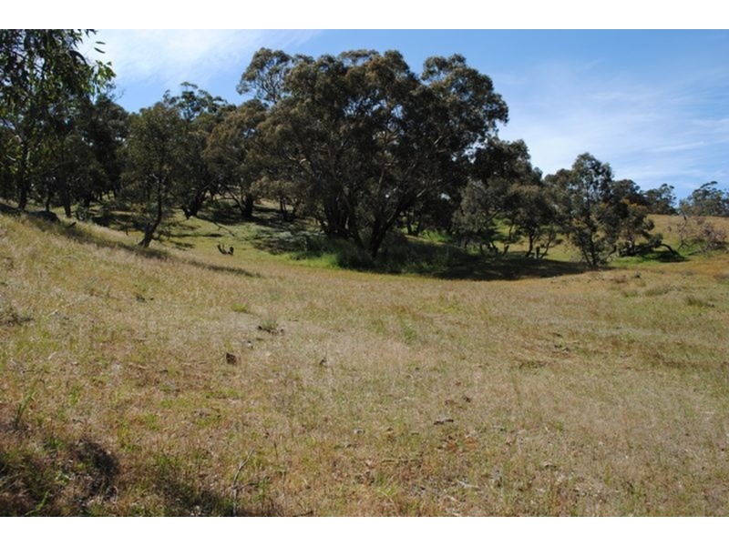 608 Stuart-mill Road, Dunolly VIC 3472