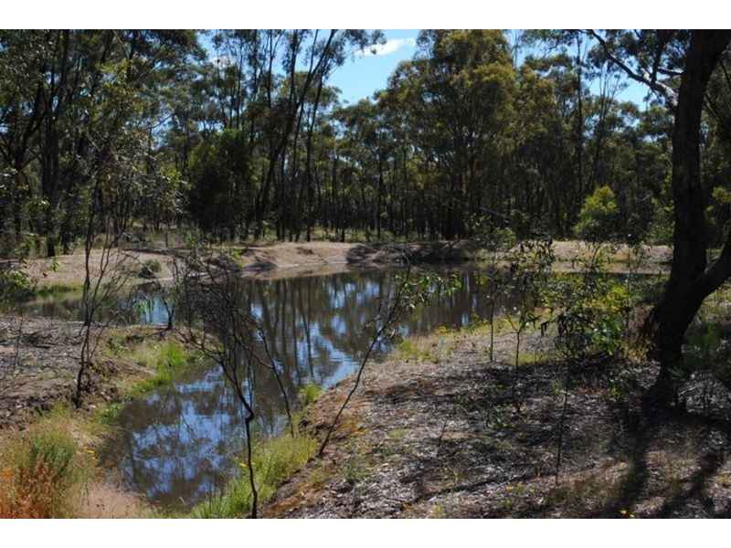 81 Argyle Road, Maryborough VIC 3465