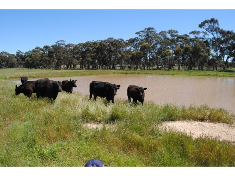 0 Chaplin’s Road, Carisbrook VIC 3464