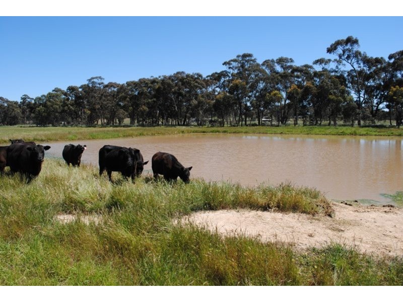 0 Chaplin’s Road, Carisbrook VIC 3464