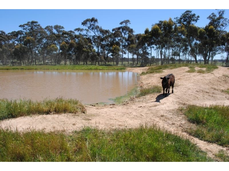 0 Chaplin’s Road, Carisbrook VIC 3464