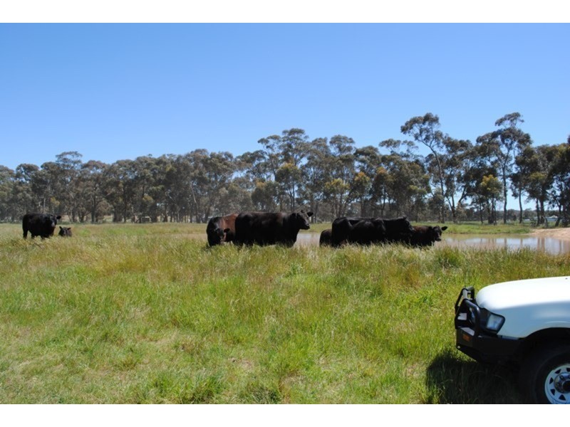 0 Chaplin’s Road, Carisbrook VIC 3464