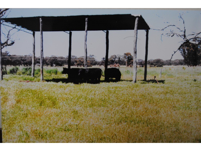 0 Chaplin’s Road, Carisbrook VIC 3464