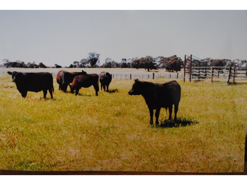 0 Chaplin’s Road, Carisbrook VIC 3464