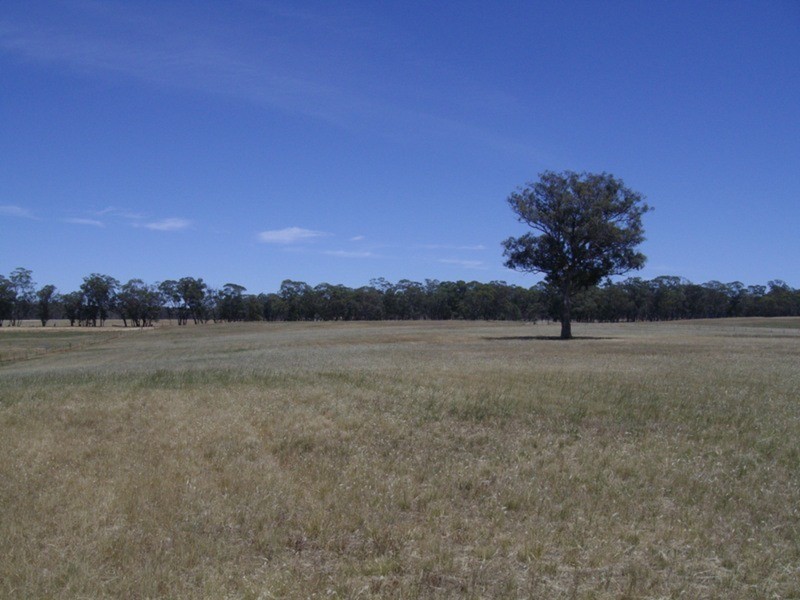 5735 Maryborough – Ballarat Road, Daisy Hill VIC 3465