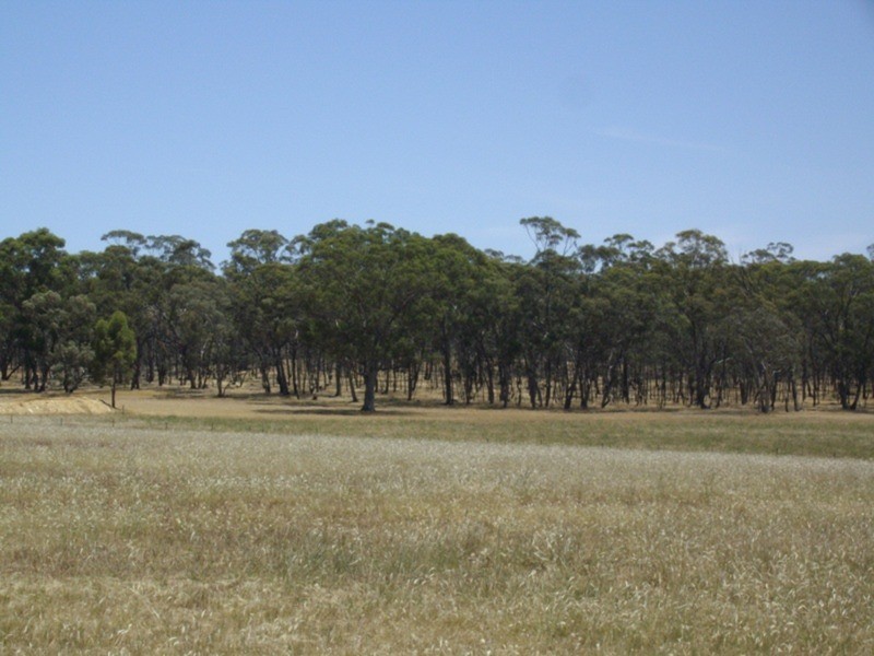 5735 Maryborough – Ballarat Road, Daisy Hill VIC 3465