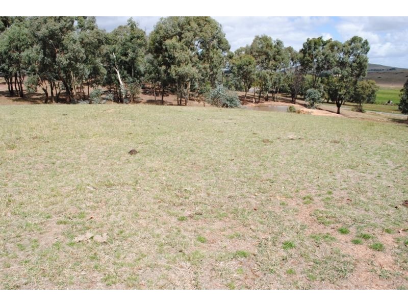 1285 McCallums Creek Road, Talbot VIC 3371