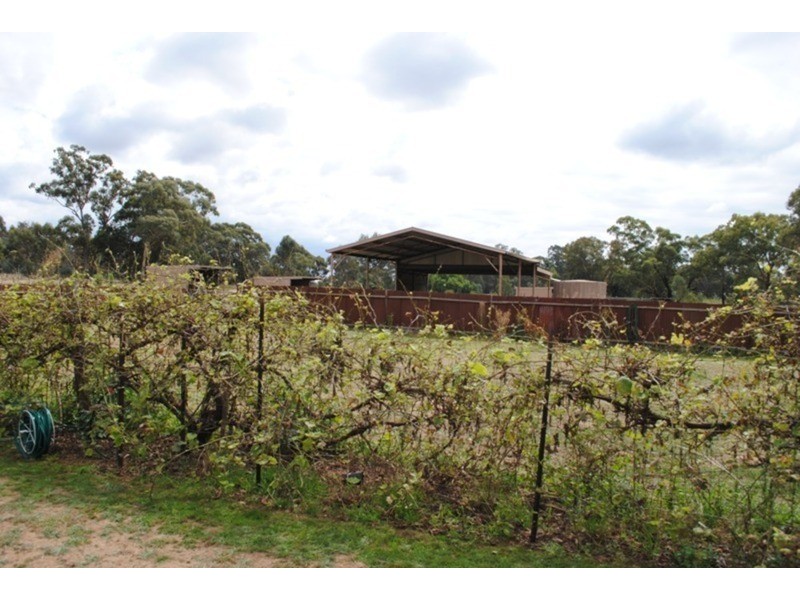 42 Rowes Lane, Maryborough VIC 3465