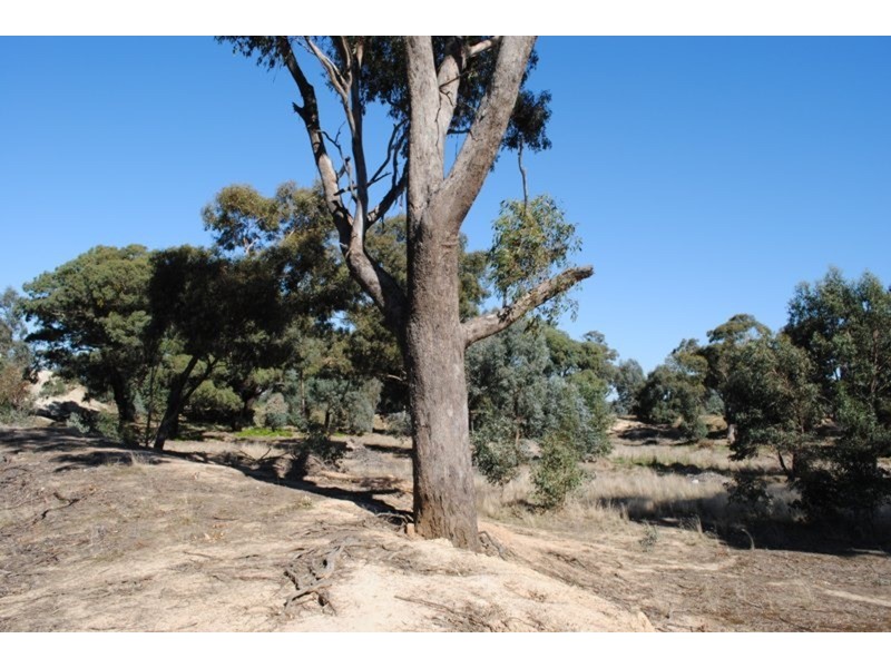 131 Alma-bowenvale Road, Maryborough VIC 3465