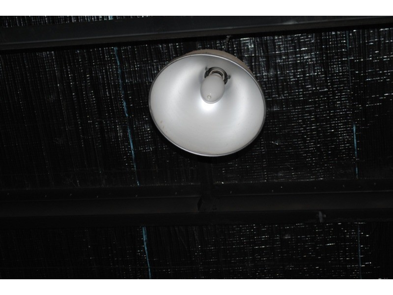 1 Bassett Street, Maryborough VIC 3465