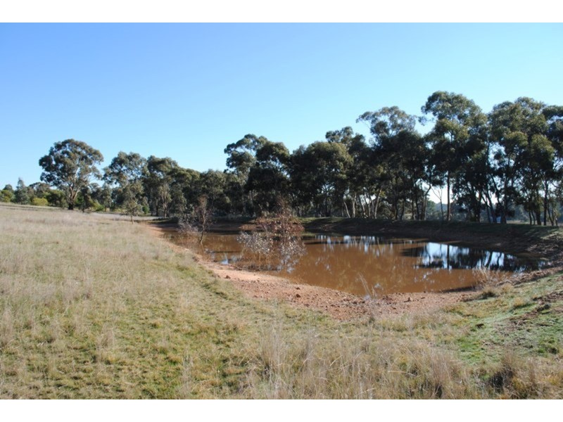 16 Moores Flat Road, Maryborough VIC 3465