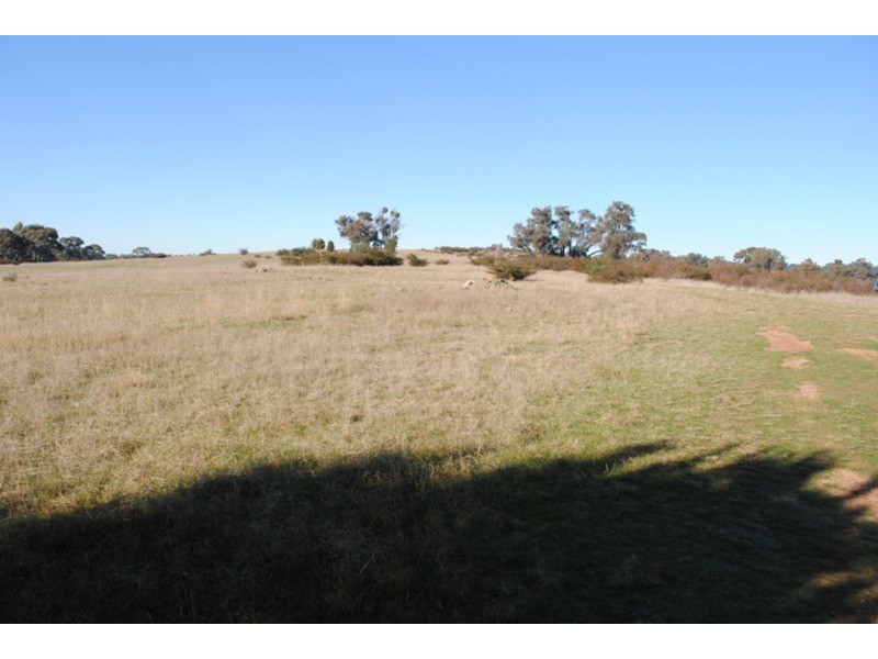 16 Moores Flat Road, Maryborough VIC 3465