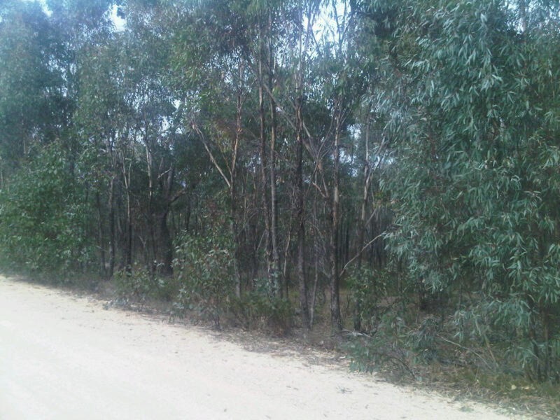 Lot 13 Moliagul Drive, Moliagul VIC 3472