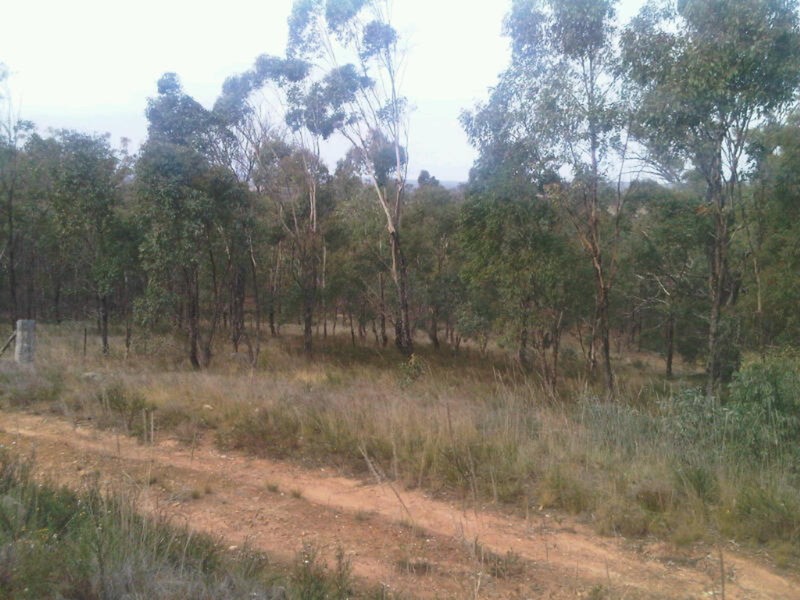Lot 13 Moliagul Drive, Moliagul VIC 3472