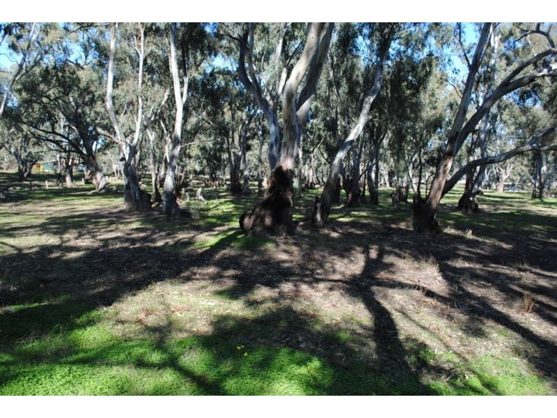 134 Bet Bet Creek Road, Betley VIC 3472