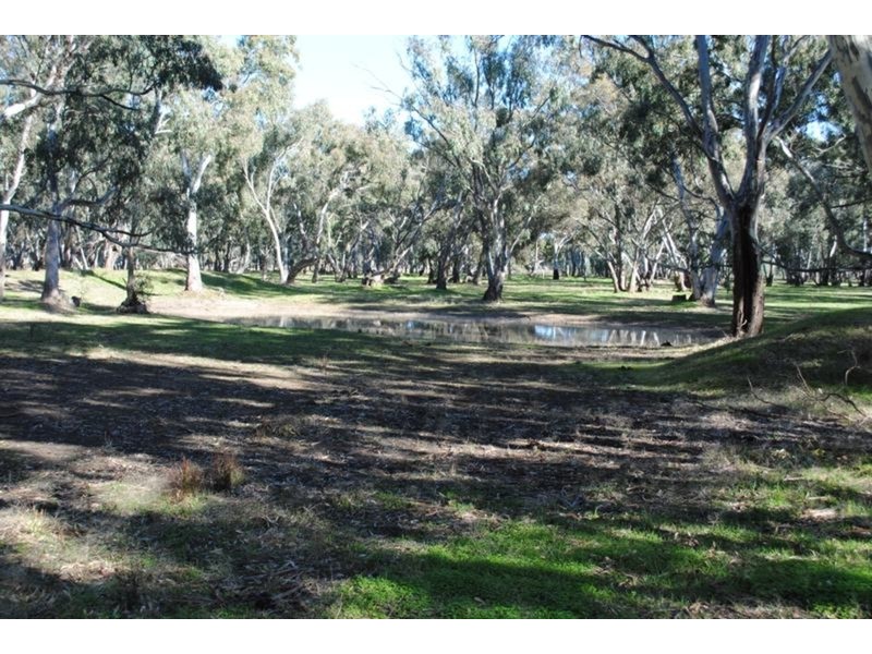 134 Bet Bet Creek Road, Betley VIC 3472