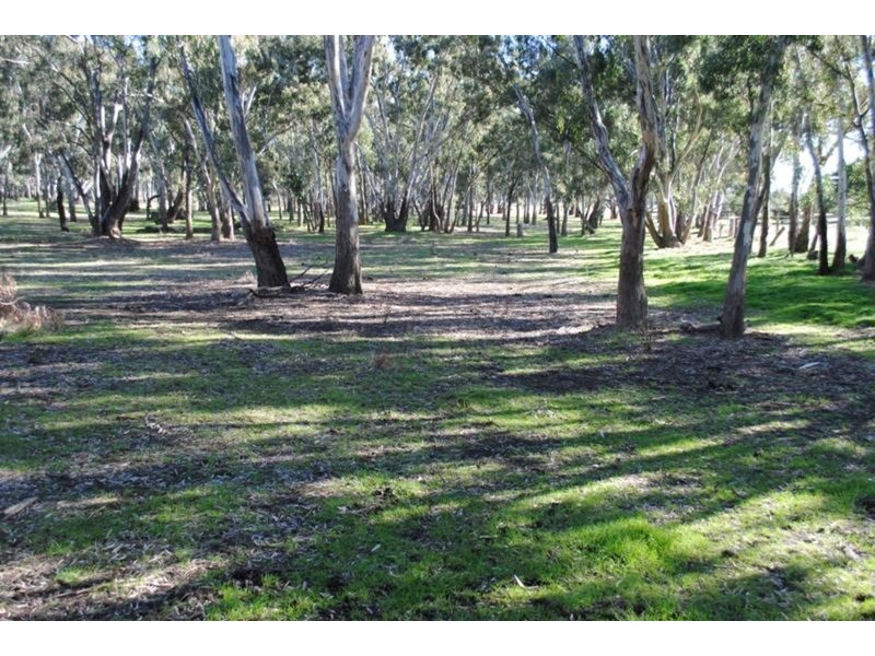 134 Bet Bet Creek Road, Betley VIC 3472