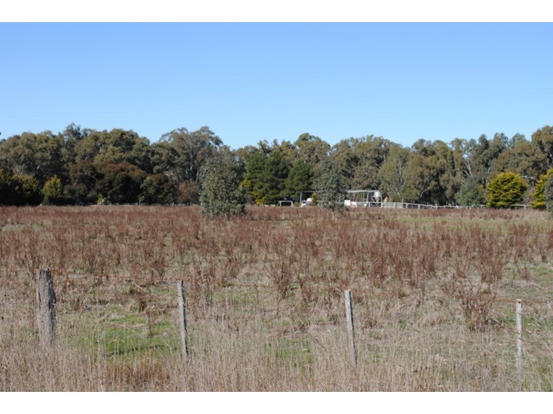 134 Bet Bet Creek Road, Betley VIC 3472