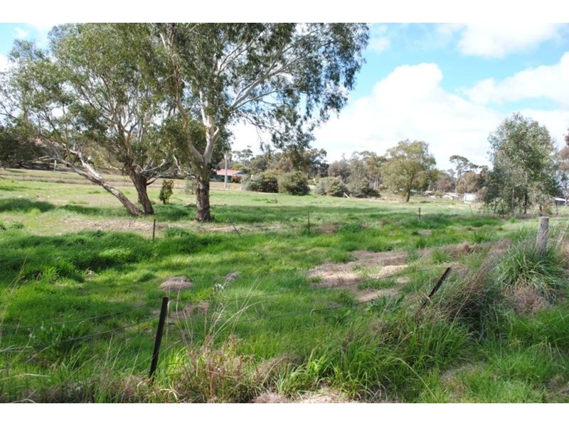 52 Napier Street, Avoca VIC 3467