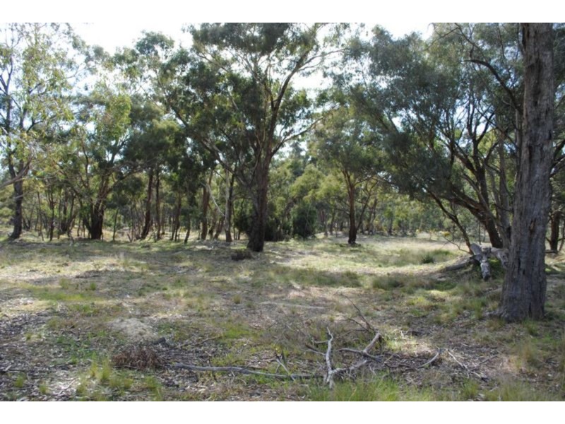 53 Queriples Road, Bealiba VIC 3475