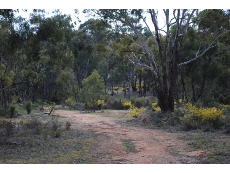 53 Queriples Road, Bealiba VIC 3475