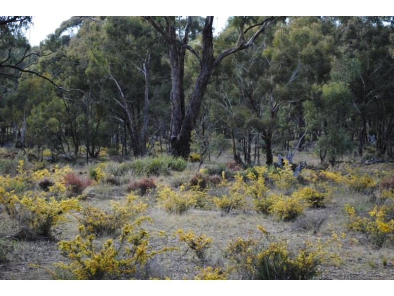 53 Queriples Road, Bealiba VIC 3475