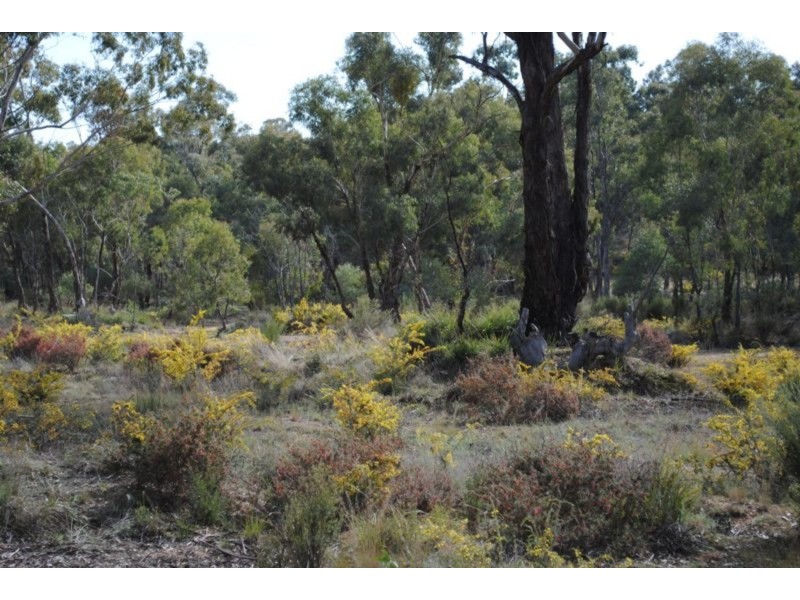 53 Queriples Road, Bealiba VIC 3475