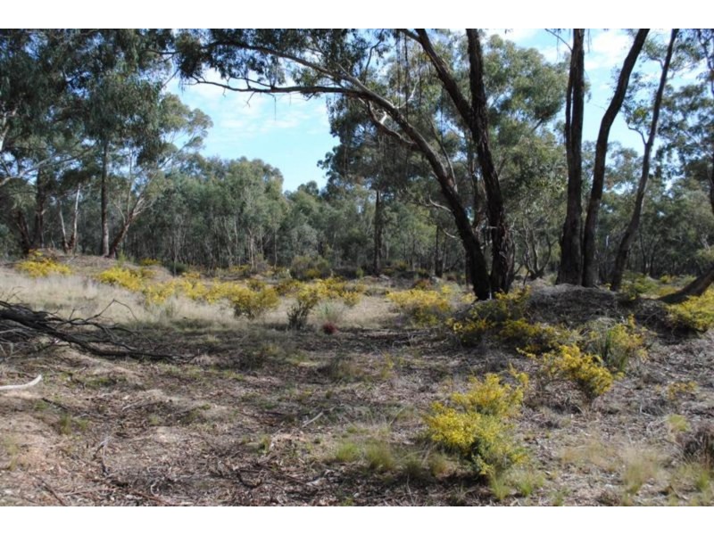 53 Queriples Road, Bealiba VIC 3475