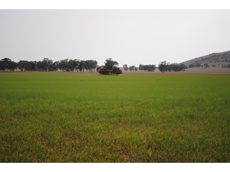 980 Dunolly – Avoca Road, Mount Hooghly VIC 3472