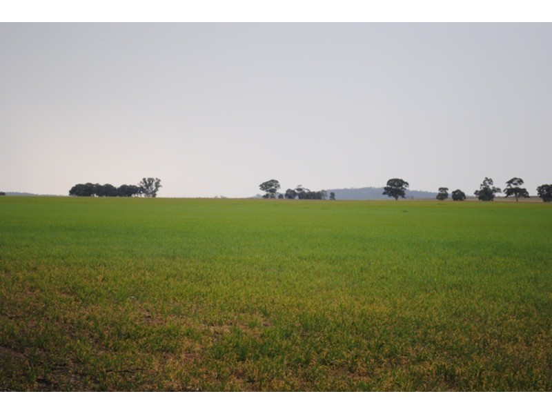 980 Dunolly – Avoca Road, Mount Hooghly VIC 3472