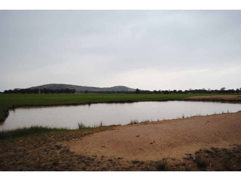 980 Dunolly – Avoca Road, Mount Hooghly VIC 3472