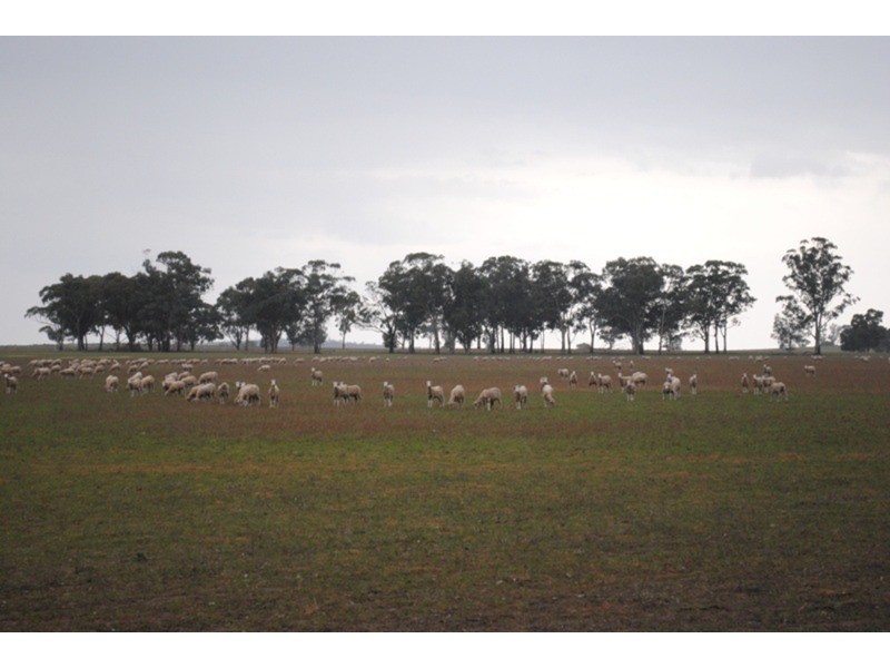 980 Dunolly – Avoca Road, Mount Hooghly VIC 3472