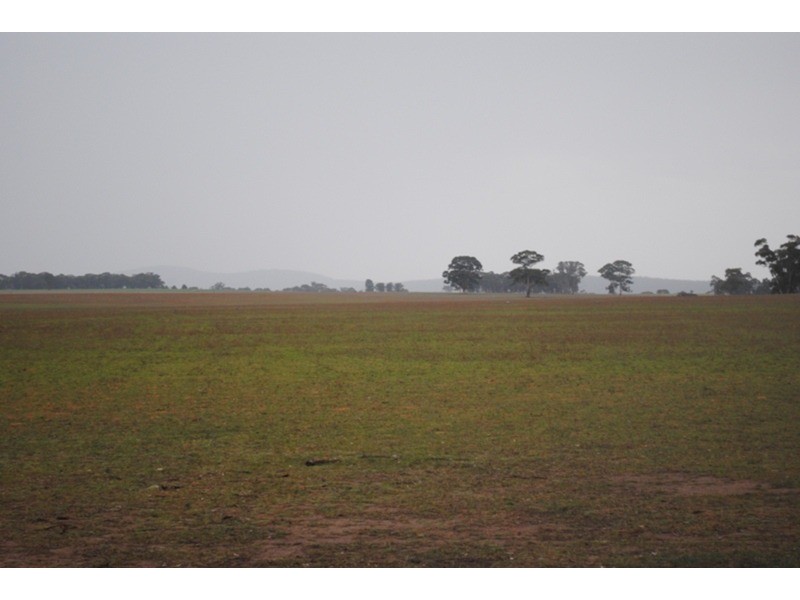 980 Dunolly – Avoca Road, Mount Hooghly VIC 3472