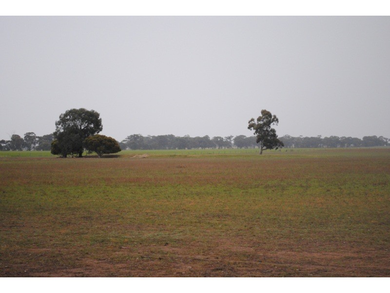 980 Dunolly – Avoca Road, Mount Hooghly VIC 3472