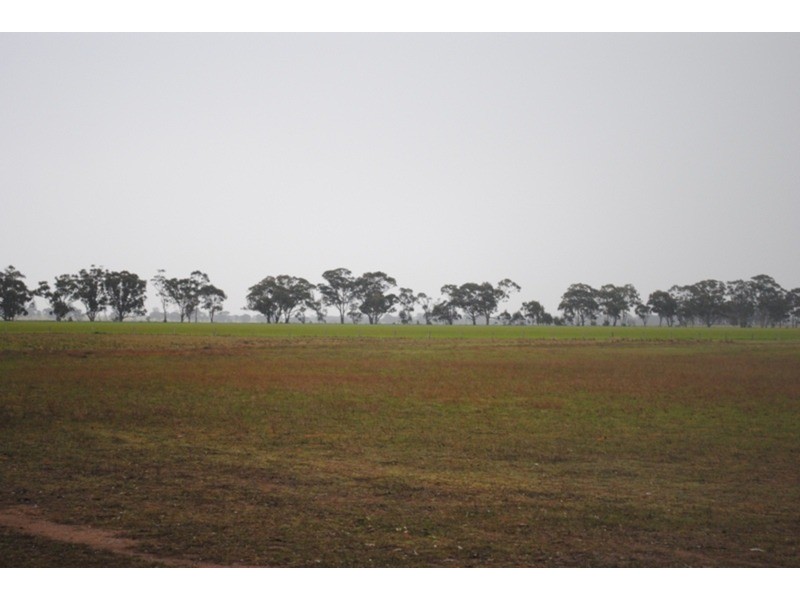 980 Dunolly – Avoca Road, Mount Hooghly VIC 3472