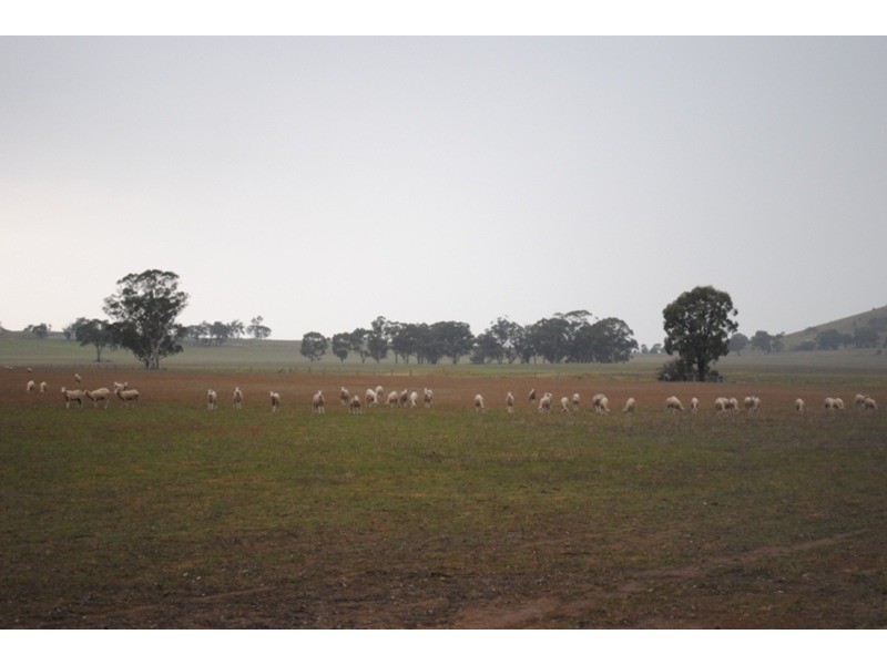 980 Dunolly – Avoca Road, Mount Hooghly VIC 3472