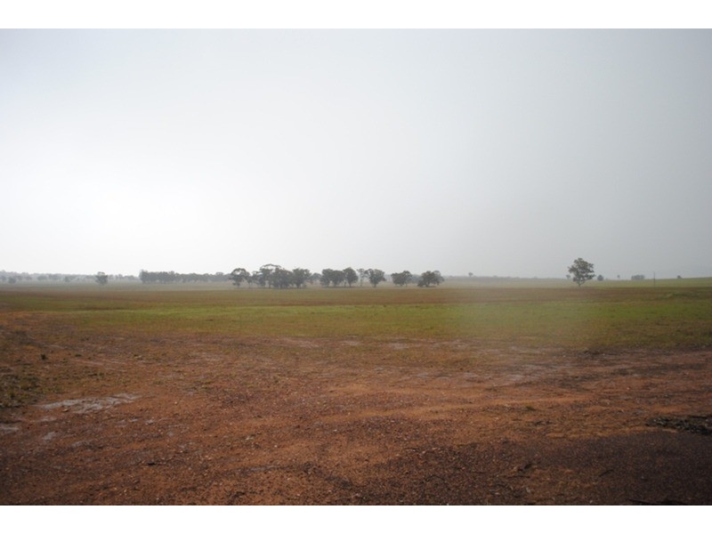 980 Dunolly – Avoca Road, Mount Hooghly VIC 3472