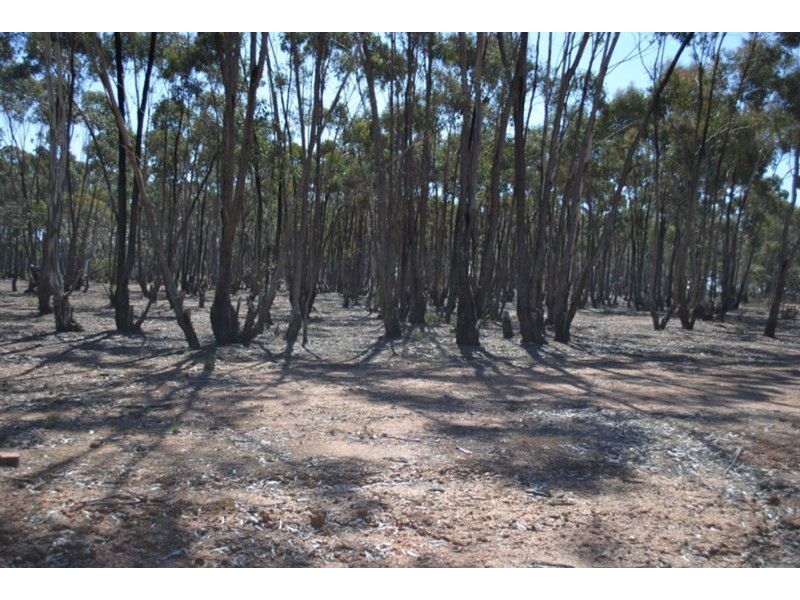 59 Palmer Road, Maryborough VIC 3465