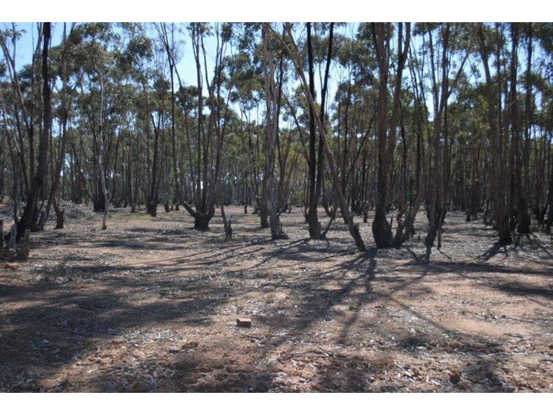 59 Palmer Road, Maryborough VIC 3465