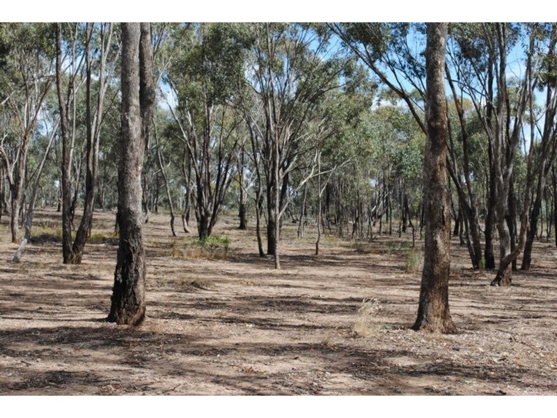 65 Dalmation Road, Moliagul VIC 3472