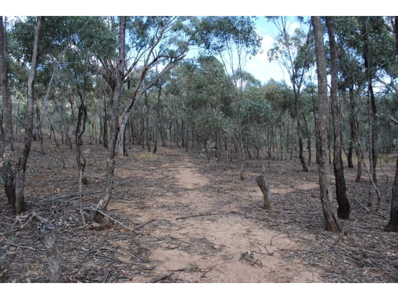 65 Dalmation Road, Moliagul VIC 3472