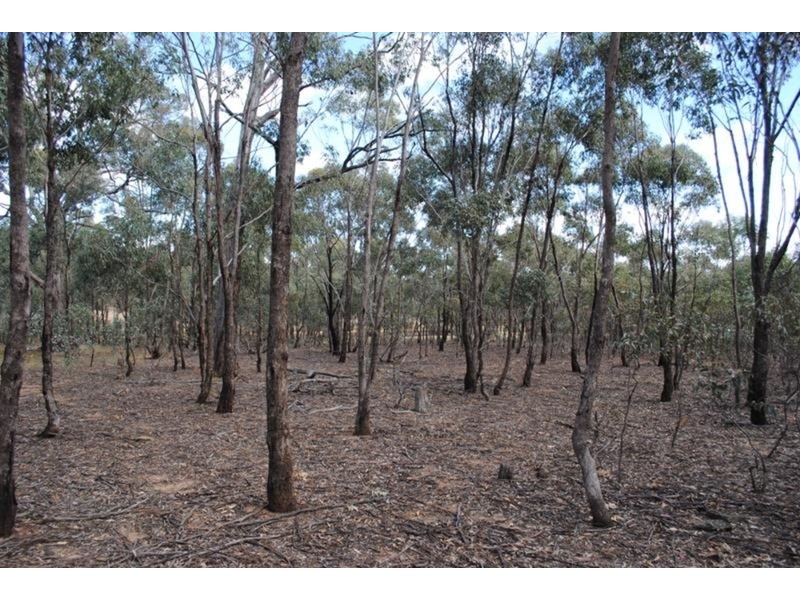 65 Dalmation Road, Moliagul VIC 3472