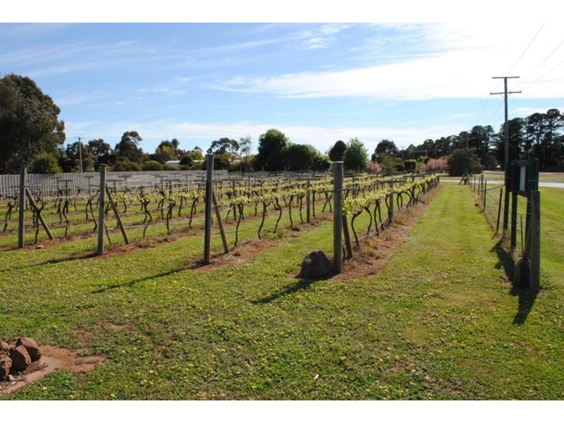 85 Simson  Street, Maryborough VIC 3465