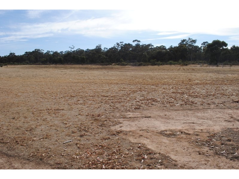 9 George Cook  Drive, Maryborough VIC 3465