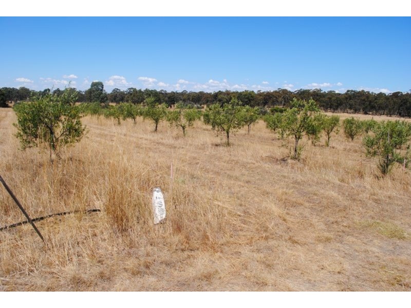 50 Scotts  Road, Talbot VIC 3371