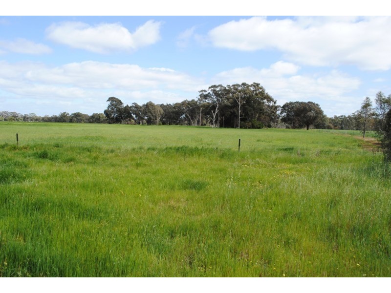 377 Carisbrook-betley Road, Betley VIC 3472