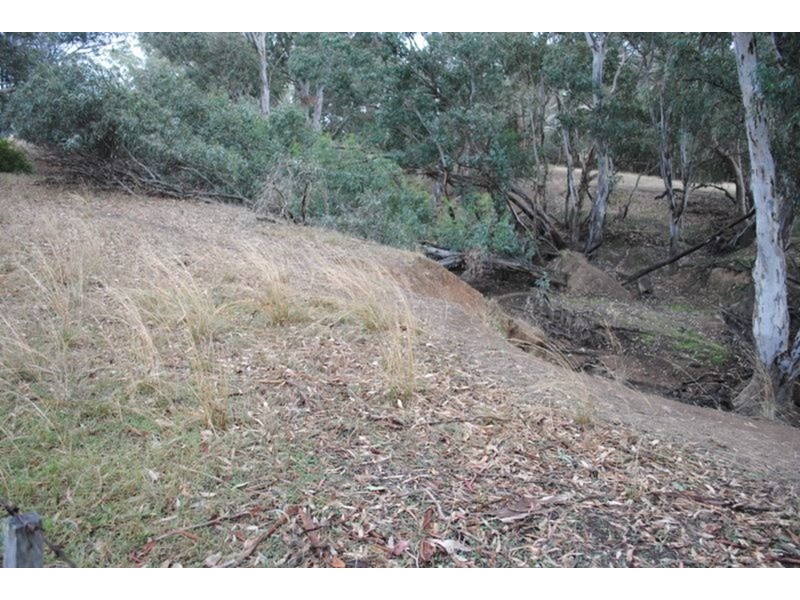 263 Bet Bet Creek Road, Timor West VIC 3465