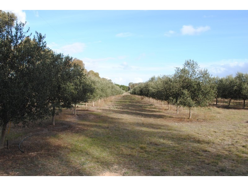 0 Adelaide Lead – Alma Road, Maryborough VIC 3465